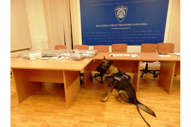 Novi policijski pas je u gradu…Predstavljamo vam Kastra