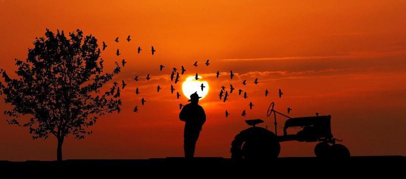 sunset-3812820_1920