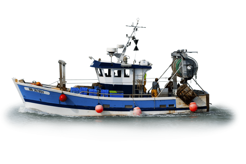 isolated-4864239_1920