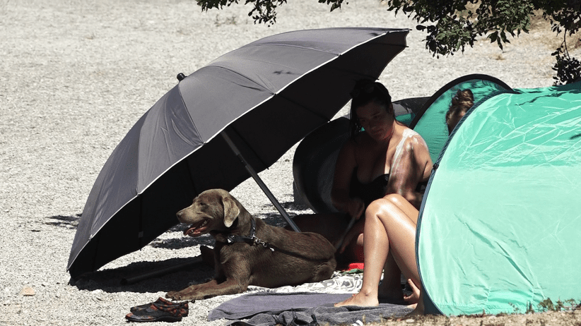 vlcsnap-2020-07-13-12h35m02s658