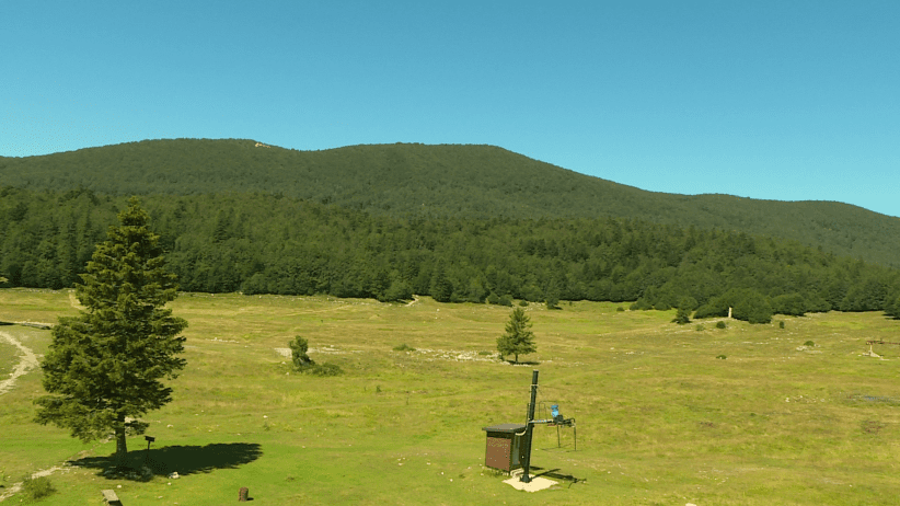 vlcsnap-2020-07-27-14h14m04s207