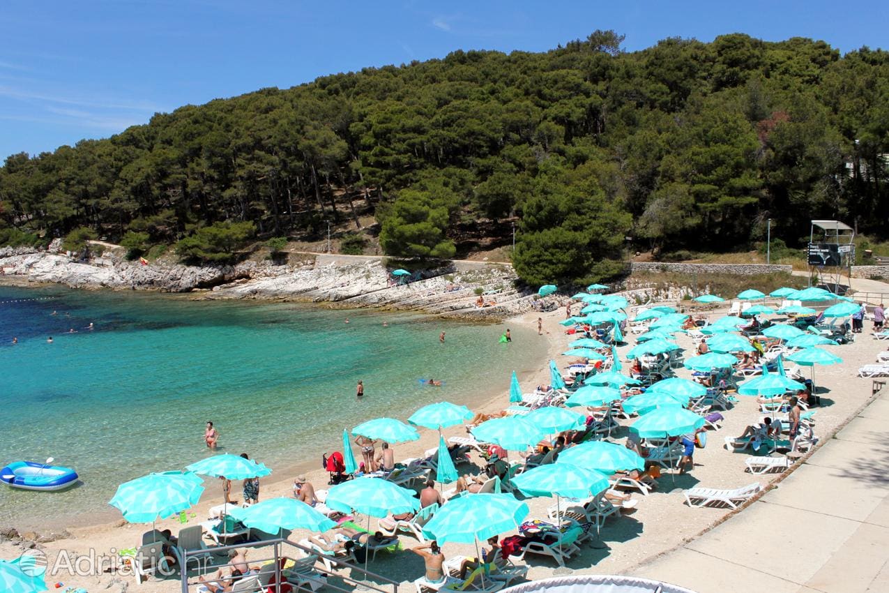 Trenutno u Hrvatskoj boravi oko 780 tisuća turista