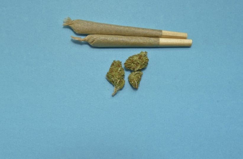 marijuana-2248066_1920