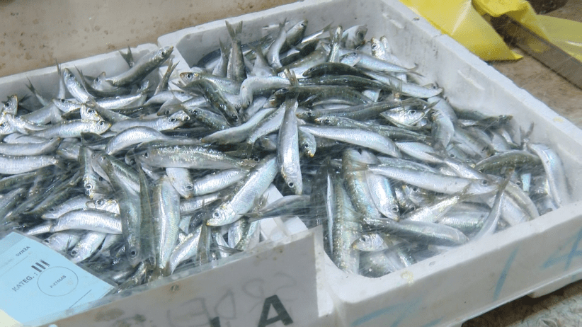 vlcsnap-2020-11-27-09h30m41s895