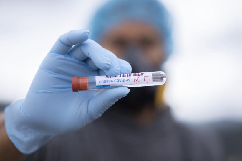 koronavirus p
