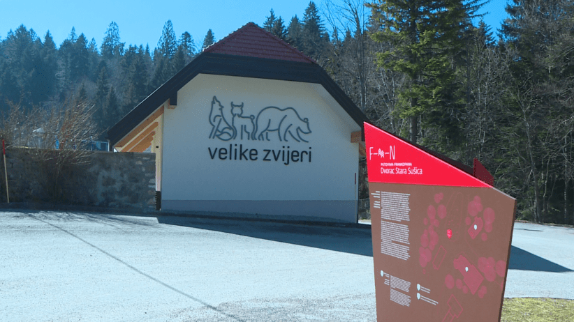 vlcsnap-2021-03-02-19h50m11s431