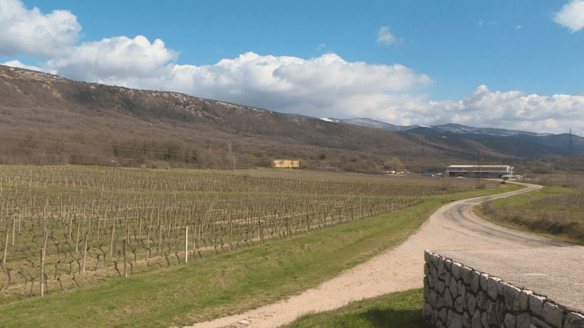 vlcsnap-2021-03-19-10h46m34s144