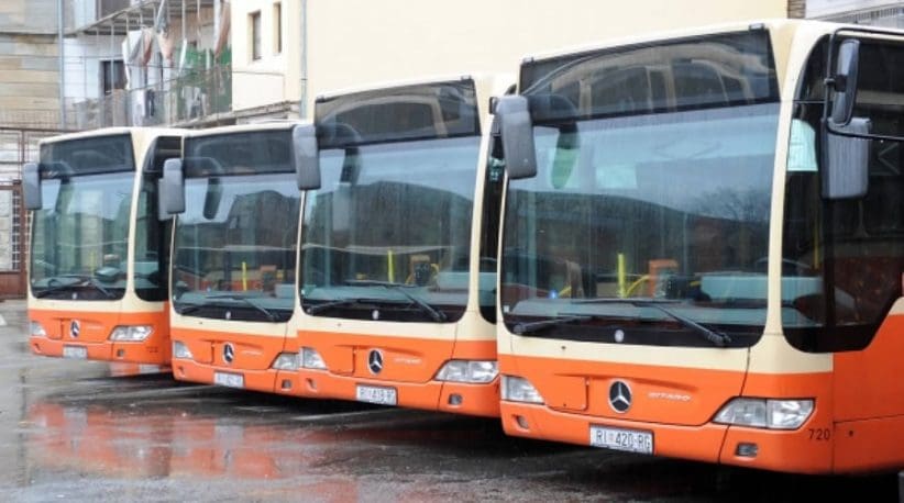 bus