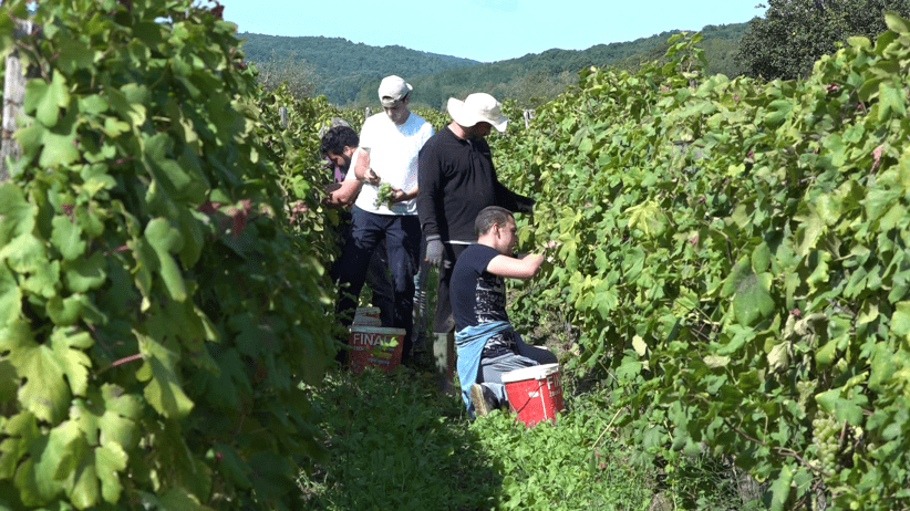 vlcsnap-2021-09-22-19h23m58s839