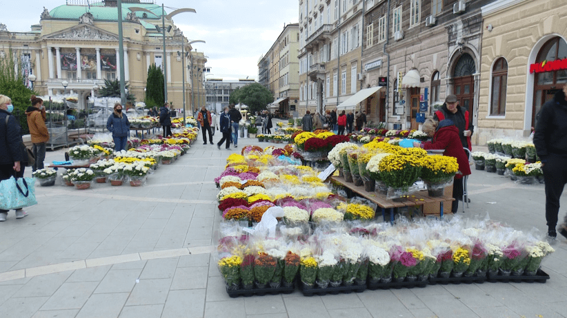 vlcsnap-2021-10-26-14h24m47s396