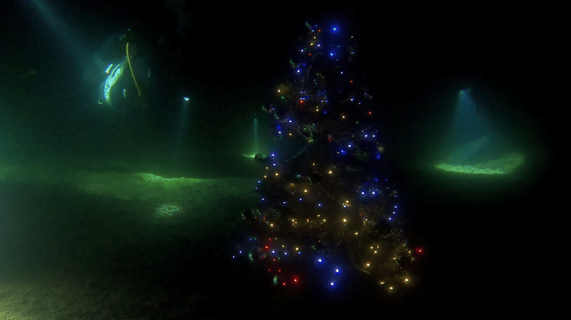 vlcsnap-2021-12-19-17h01m54s908