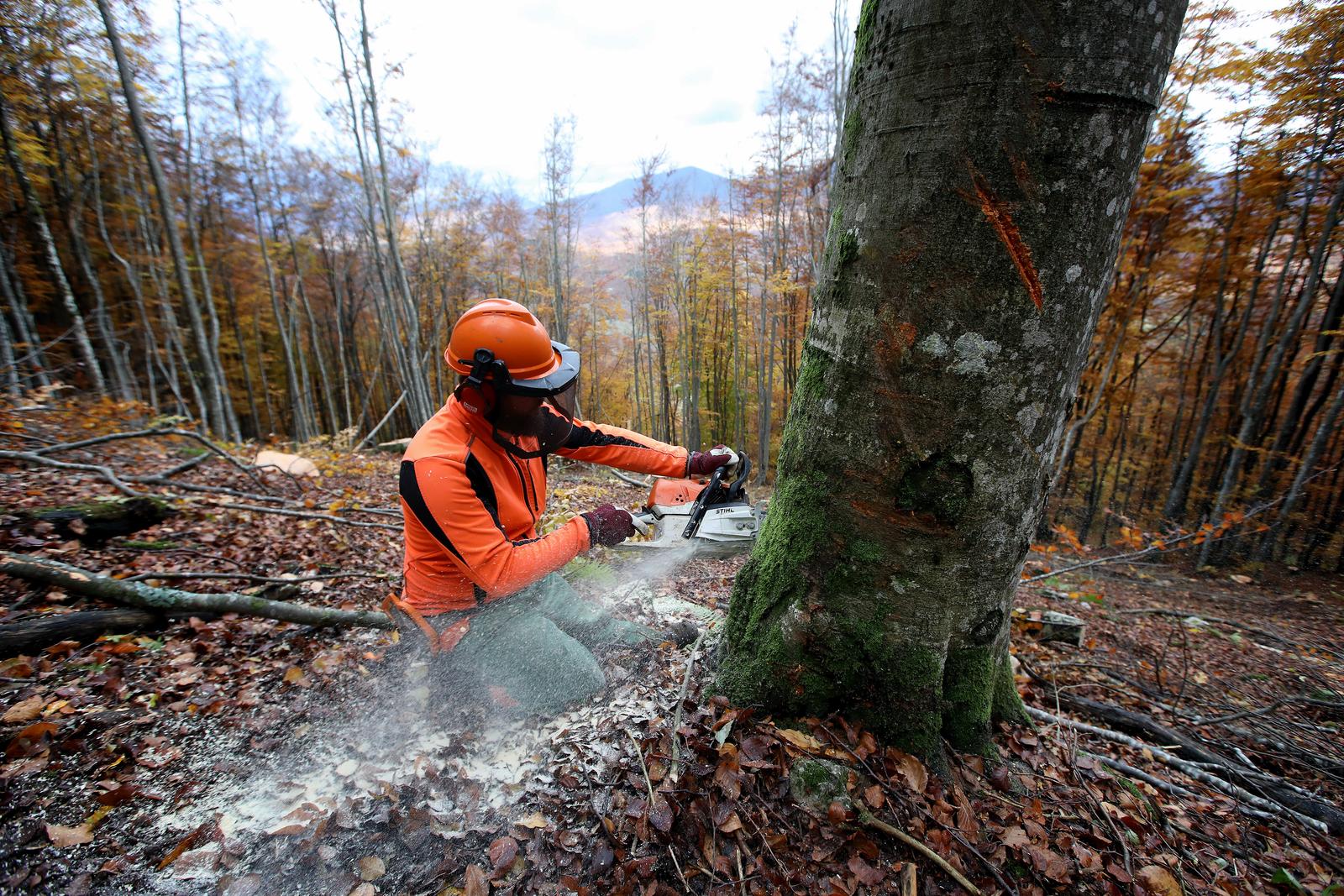Srednja škola Delnice želi uvesti zanimanje šumarski tehničar, čeka se odgovor Ministarstva