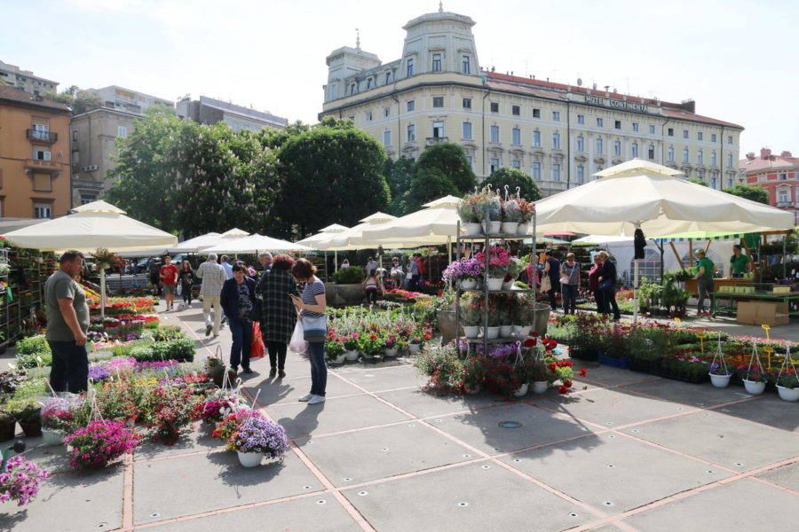 Otvorene prijave za izlagače na Cvjetnom sajmu kod Konta!