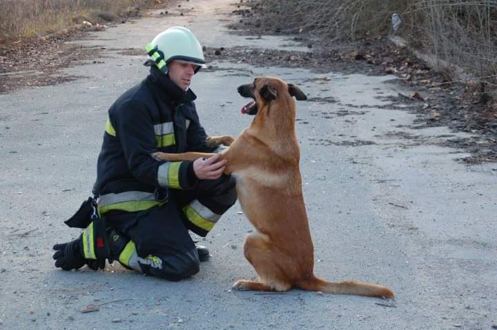 Opatijski vatrogasci oprostili su se od Ite, jedne od prvih potražnih pasa u Hrvatskoj