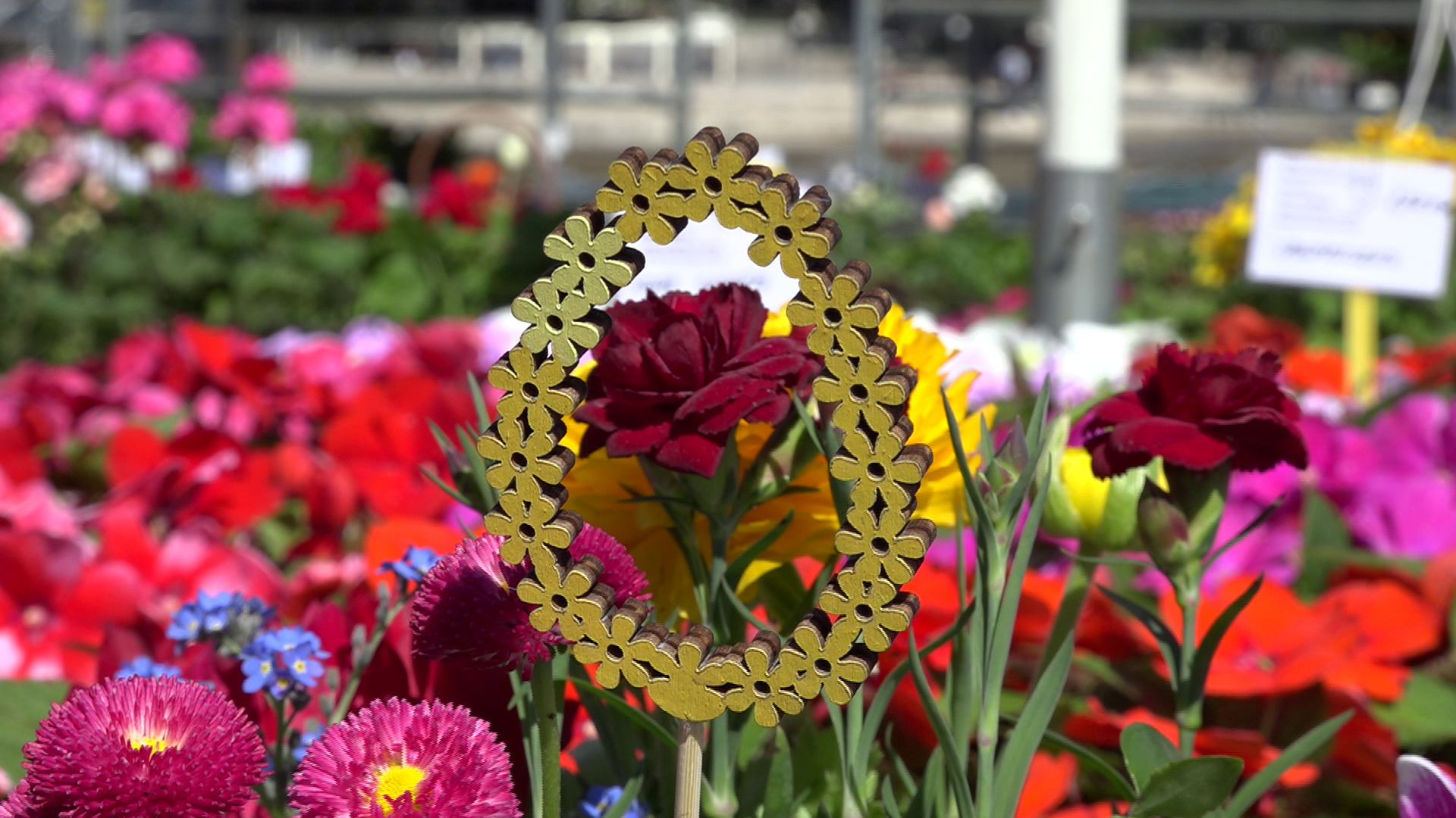 U Opatiji po prvi puta održana cvjetna manifestacija Floral Week