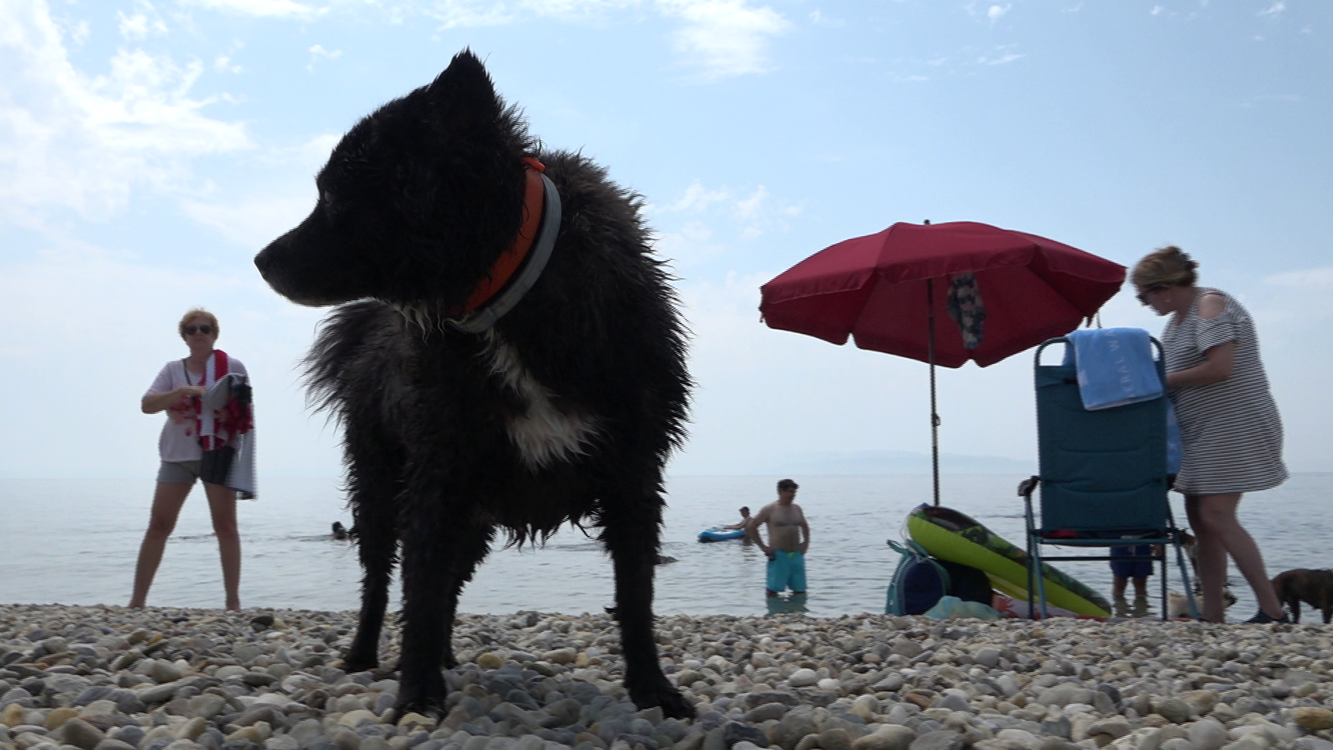 Plaža za pse na Kantridi: Raj za četveronožne ljubimce