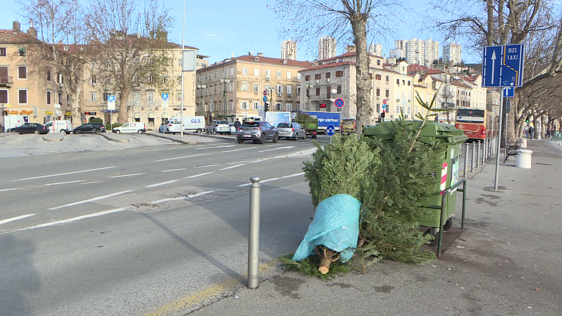 Gdje s božićnom jelkom?
