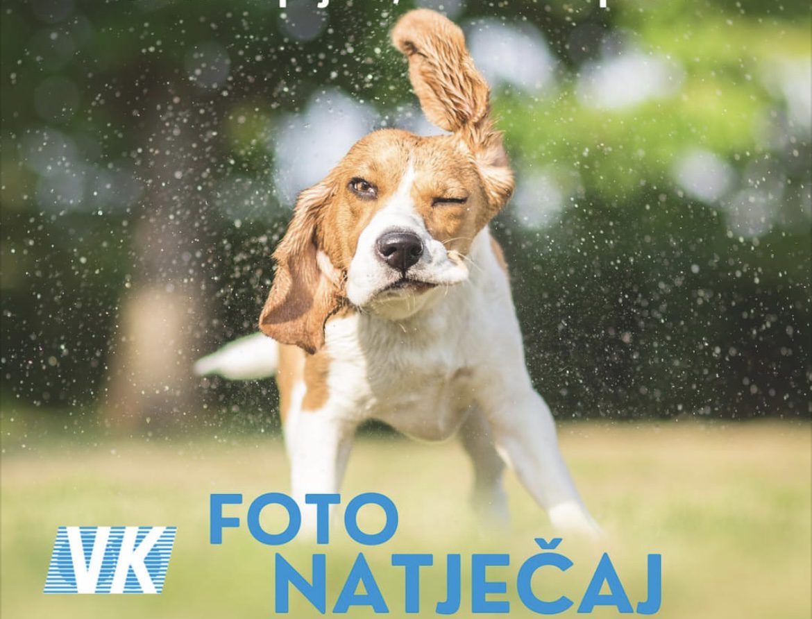 Foto natječaj: Vaš kućni ljubimac na kalendaru ViK-a Rijeka za 2025.