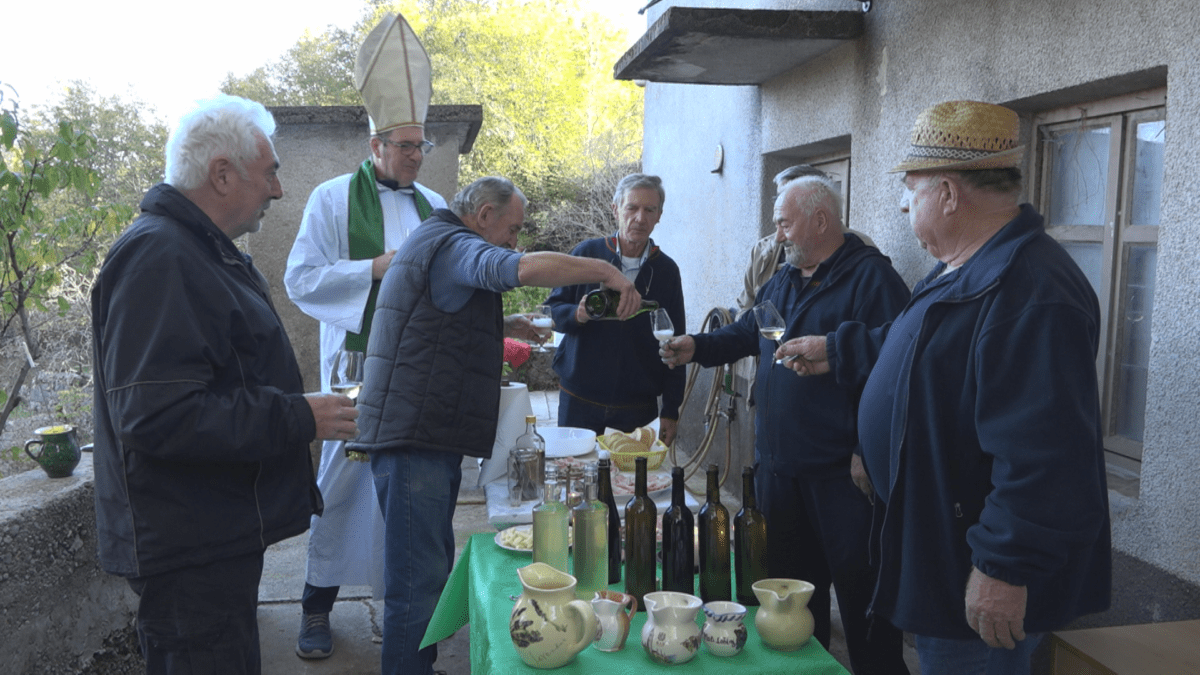 Blagdan sv.Martina: Martinje s kastavskim vinarima