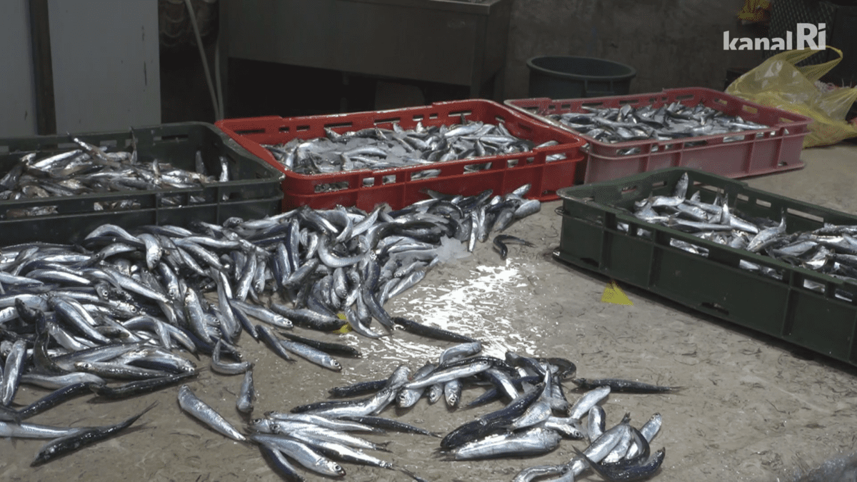 Riječka ribarnica i tržnica na Pepelnicu: Bogata ponuda, ali visoke cijene