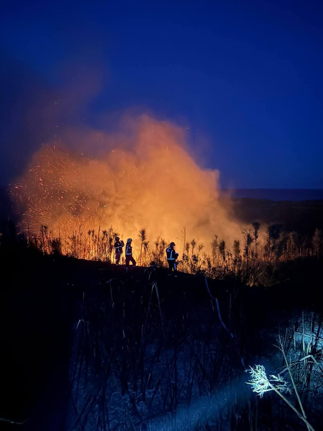 Požar na otoku Susku gasili  vatrogasci s Lošinja, u pomoć stigle kolege s Cresa i Krka