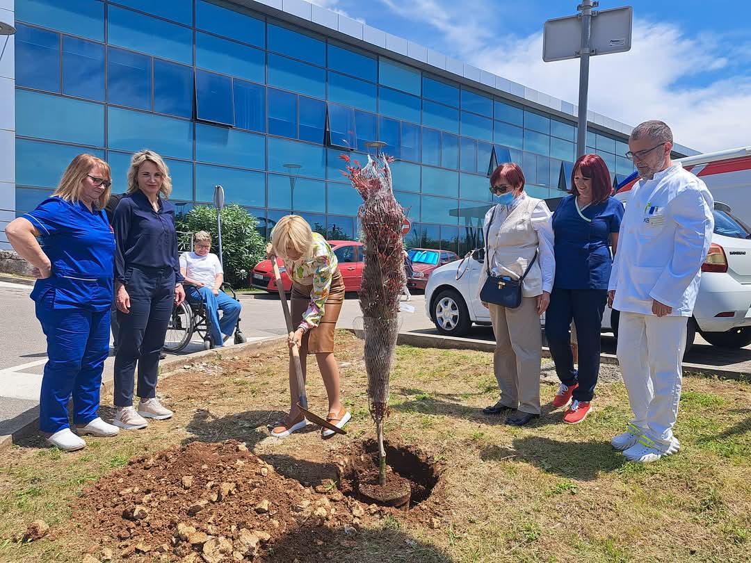 Članovi Udruge dijaliziranih i transplantiranih bubrežnih bolesnika zasadili javor na Sušaku