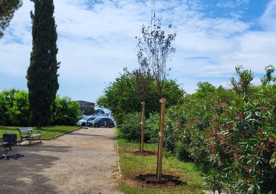 U parku na Delti ponovno su zasađena stabla stradala u vandalizmu