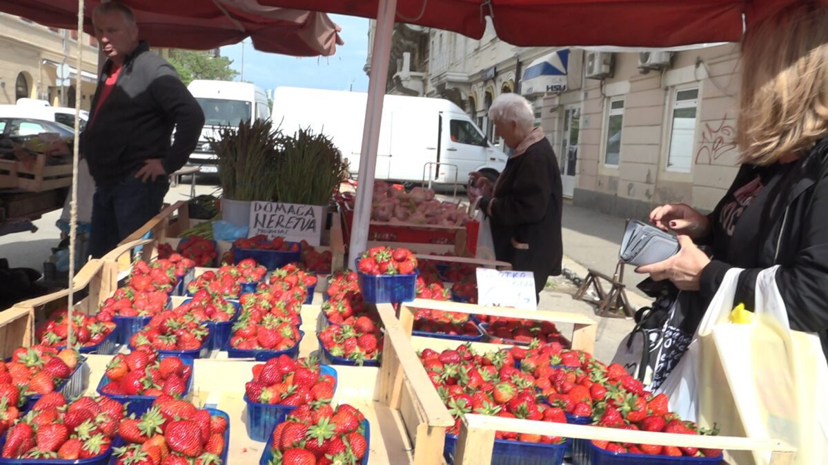 Đir po riječkoj placi: Domaće jagode 6 eura, pomidor po 4 ili 5 eura