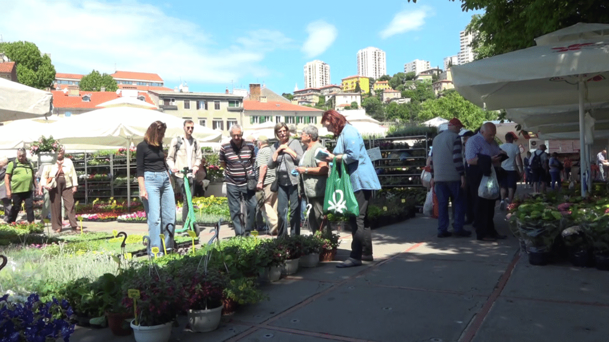 Od cvijeća do domaćih proizvoda: Počeo je 6. Cvjetni sajam na Kontu