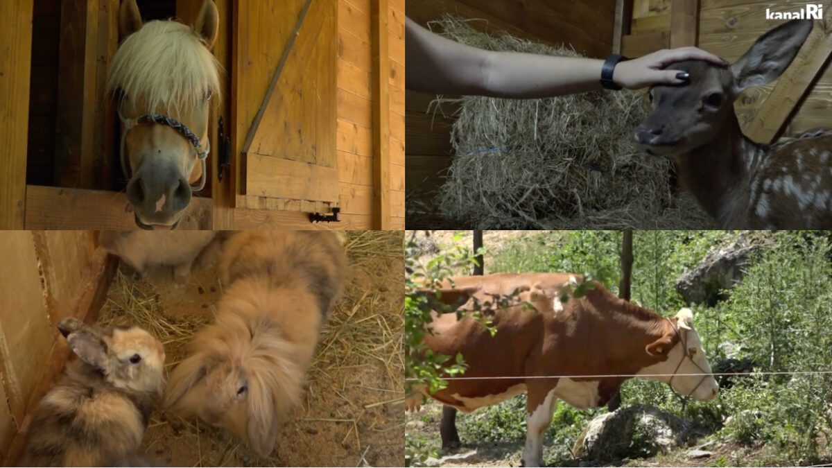 Posjetili smo Šumski dvor na Drenovi!