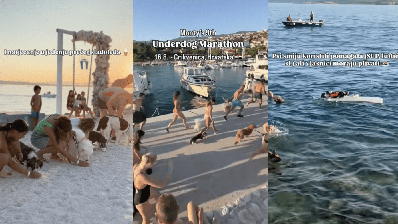 Trči, plivaj, maši repom – stiže Underdog Marathon!