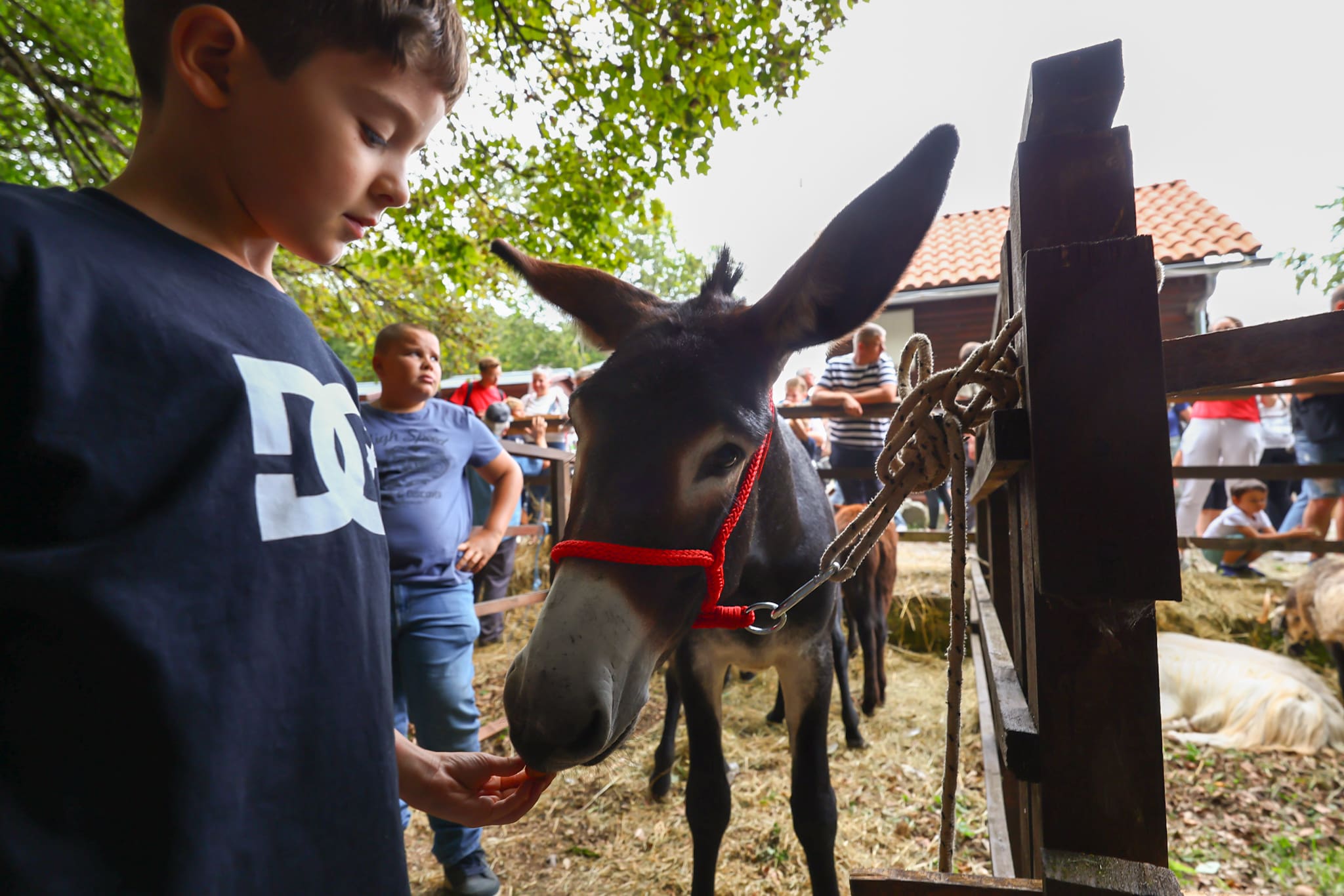 17.Učkarski samanj privuklo veliki broj posjetitelja