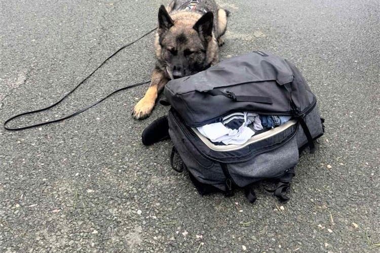 Policijski pas otkrio drogu u autobusu: Uhićen 23-godišnjak s 14 kg narkotika