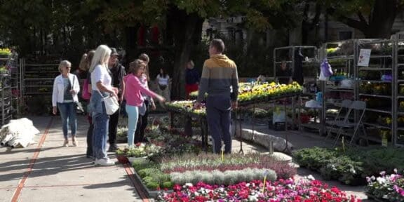 Jesenski sajam kod Konta