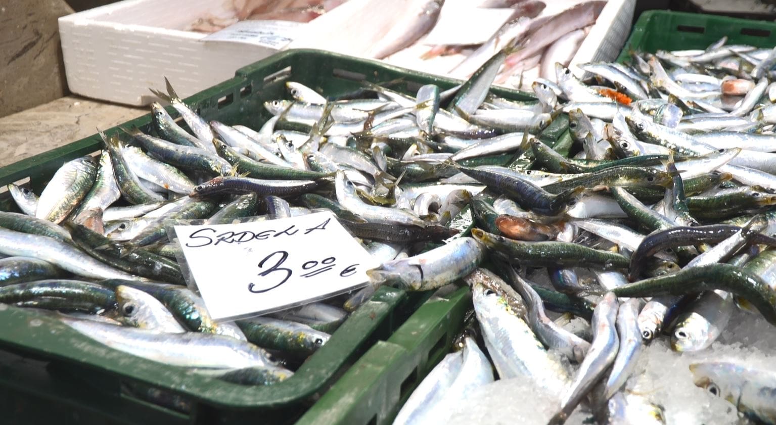 Riječka ribarnica puna je ribe, prodavači demantiraju informaciju o lovostaju