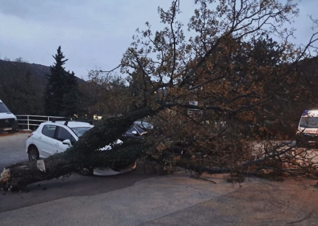 Posljedice nevremena u PGŽ: Bura rušila stabla i stupove, oštetila krovove