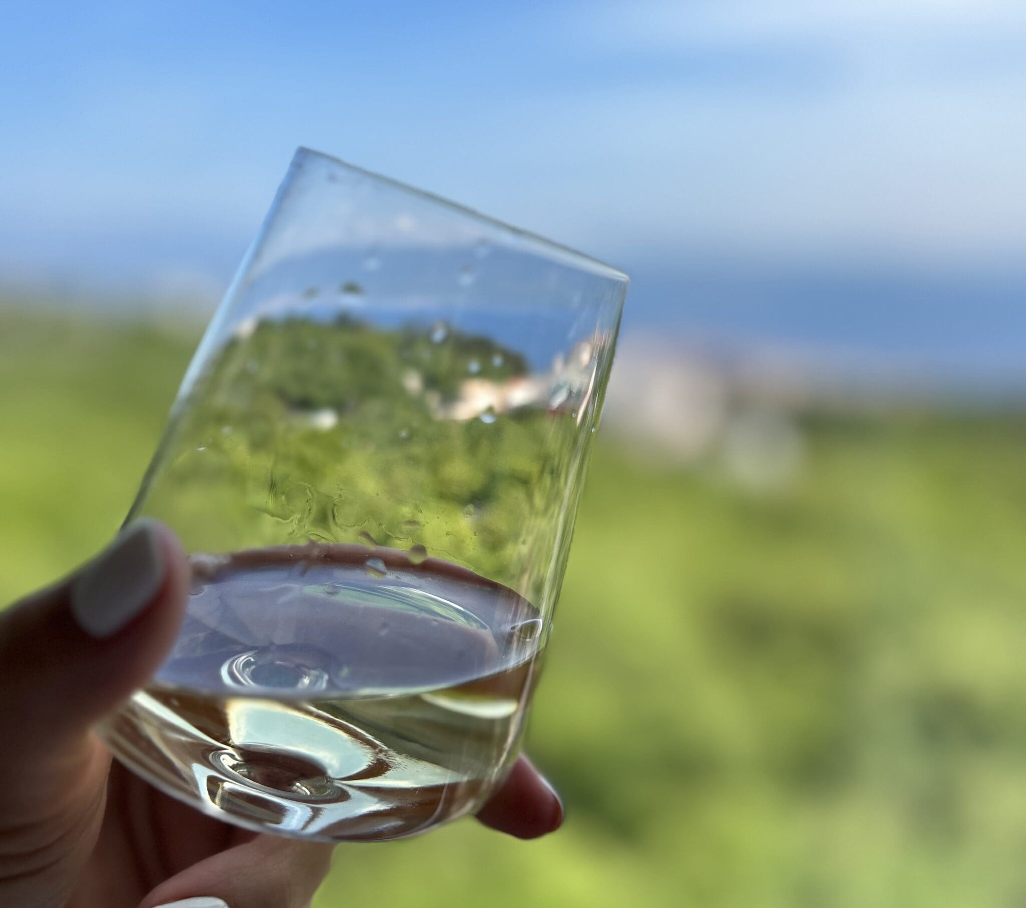 Hrvatski liječnici uvode inicijativu Suhi siječanj – poziv na prvi mjesec u godini bez alkohola!