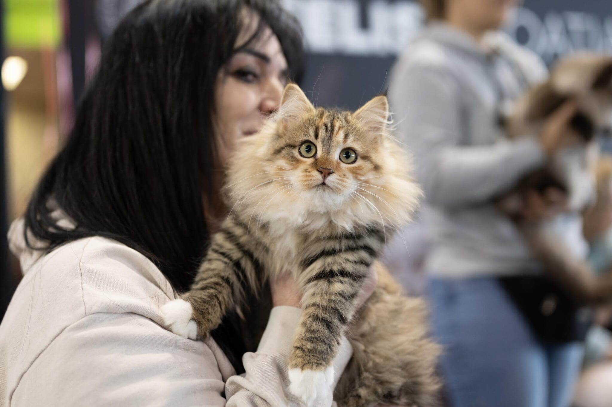 Rijeka u znaku brkova i glamura: Više od stotinu mačjih ljepotica na jednom mjestu
