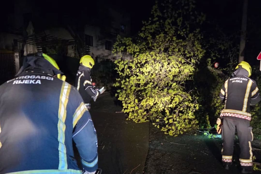 Puno posla za vatrogasce: Vjetar rušio stabla, oštetio brojne krovove