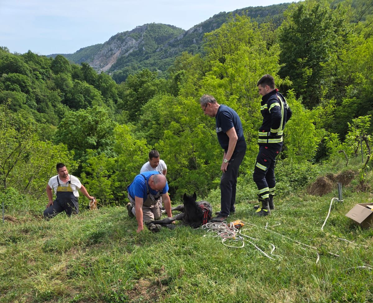 USPJEŠNA AKCIJA U LOPAČI: Vatrogasci i mještani spasili ždrijebe iz provalije duboke 50 metara