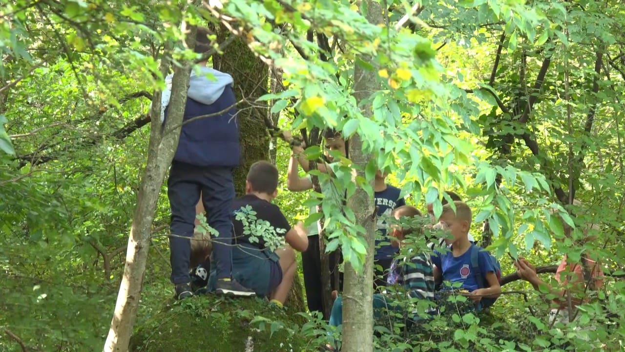 Oprez u prirodi: Počela je sezona krpelja