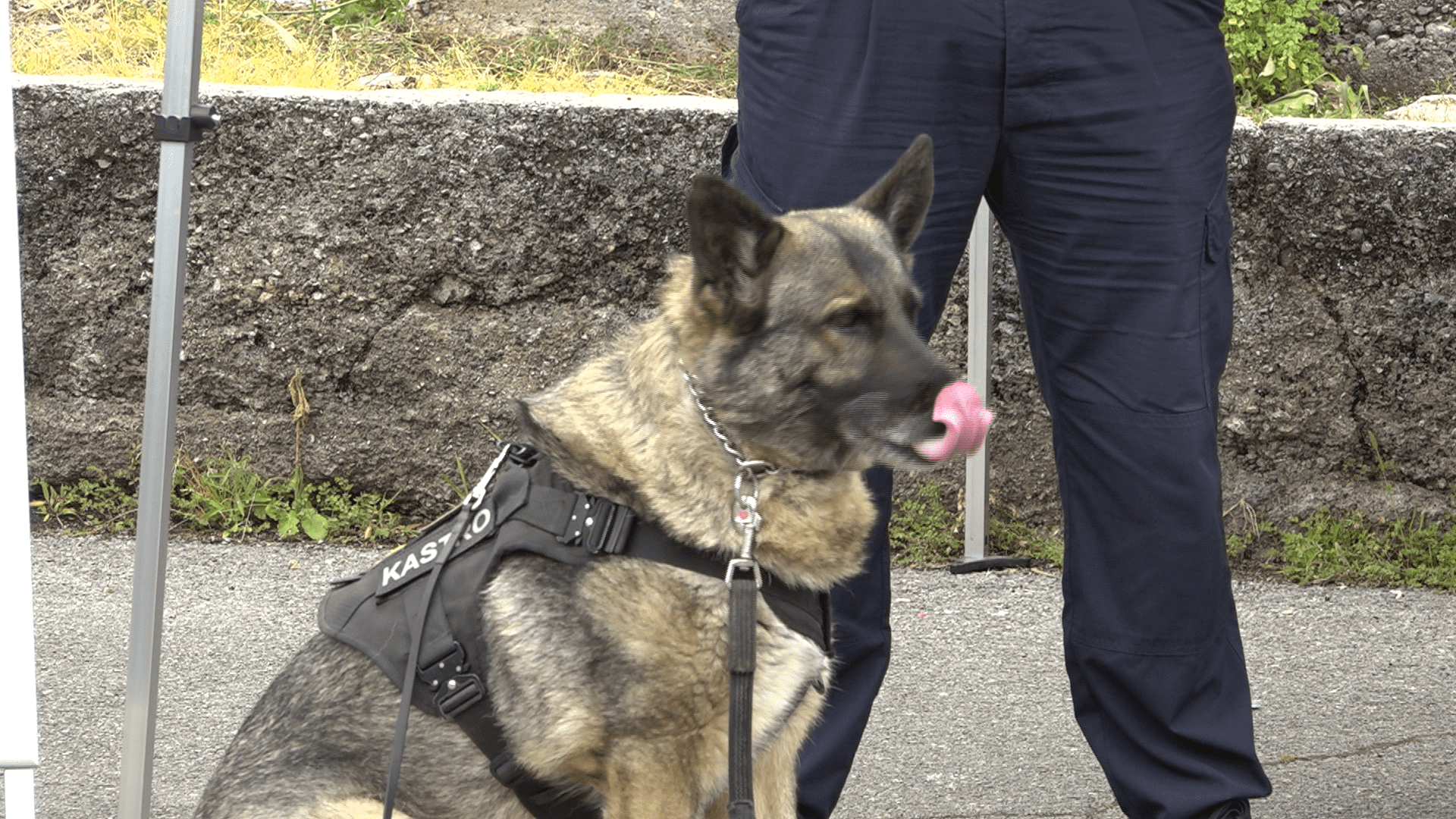 Škole u PGŽ evakuirane zbog dojave o bombi