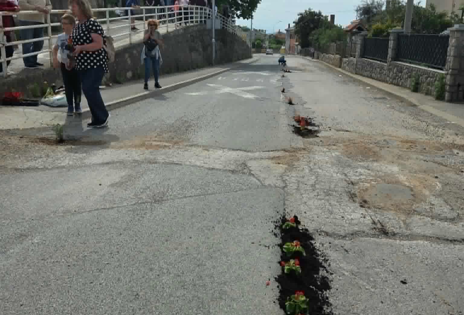 Jedinstvena eko akcija na Pehlinu: Mještani posadili cvijeće na glavnoj prometnici