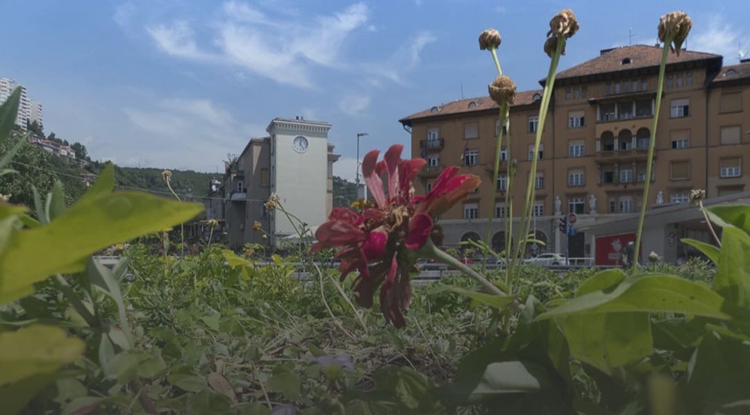 Otvora se  izložba “Rijeka iz dana u dan, Rijeka svaki dan”