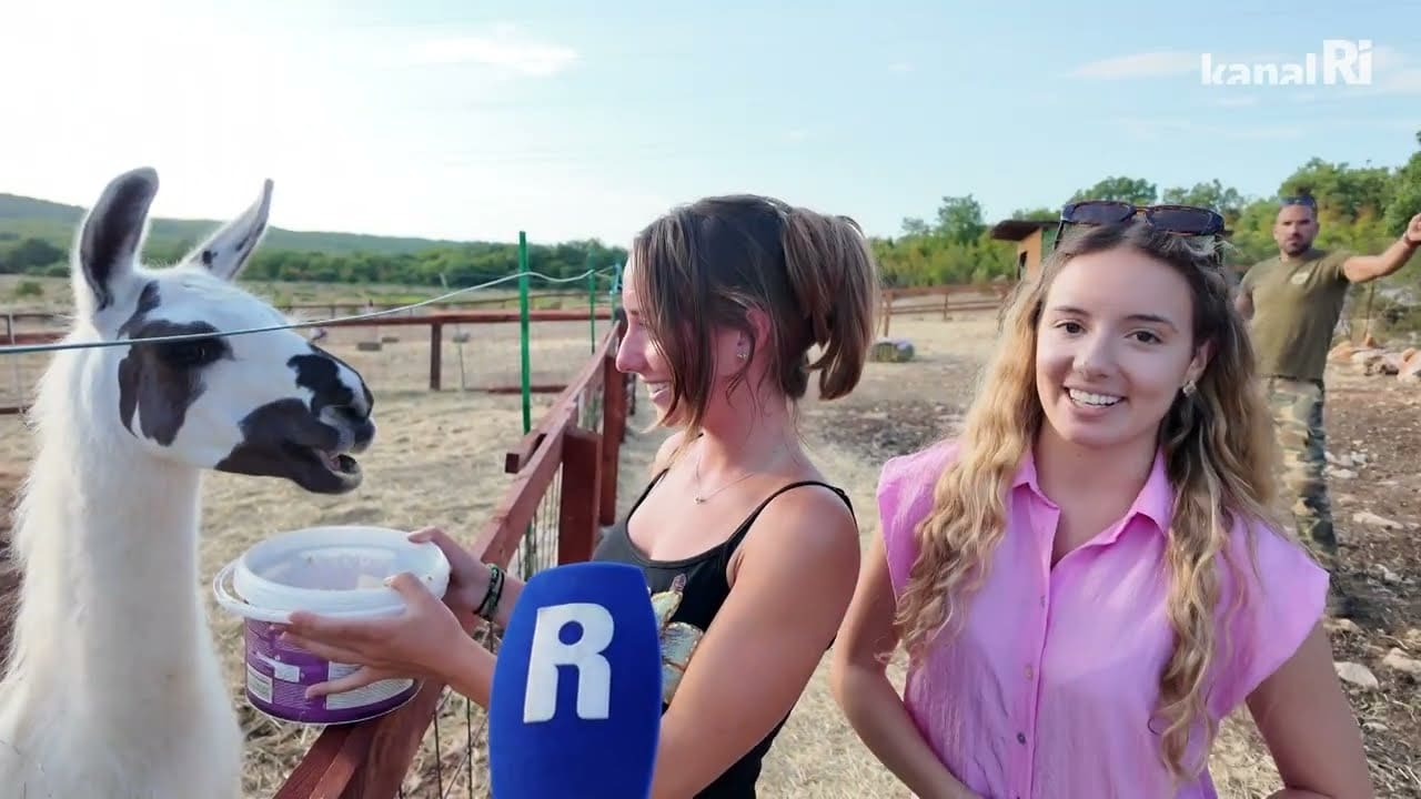 Farma Olivaro na Krku: Spoj maslinika i druženja sa životinjama oduševljava posjetitelje