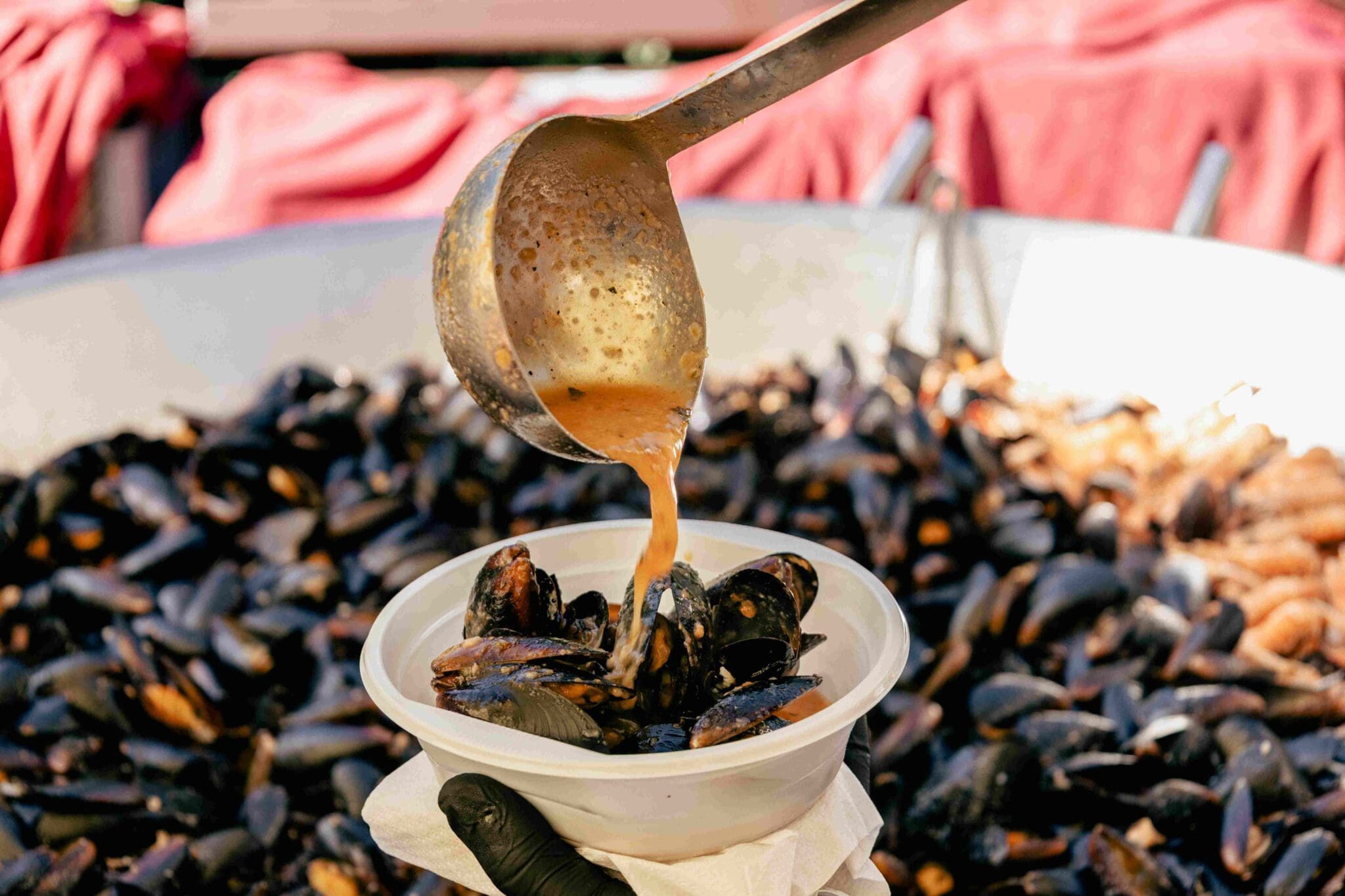 Okusi Novog Vinodolskog na jednom mjestu: Novljanski gušti donose više od 30 delicija